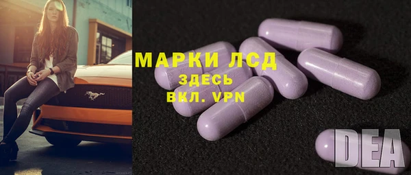 винт Алзамай
