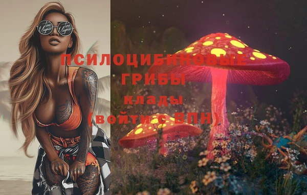 тгк Алексин