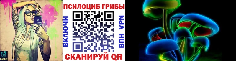 хочу   Добрянка  Псилоцибиновые грибы Psilocybe 